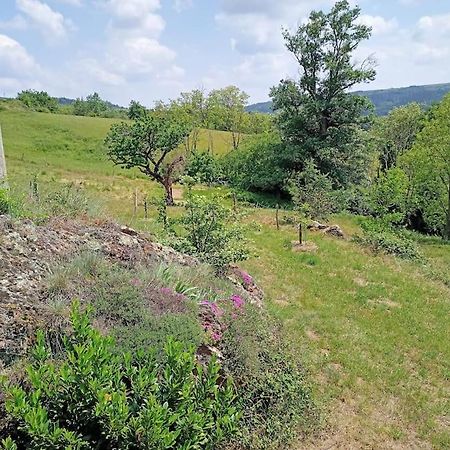 Ecrin De Verdure En Ardeche Verte Colombier-le-Vieux Buitenkant foto