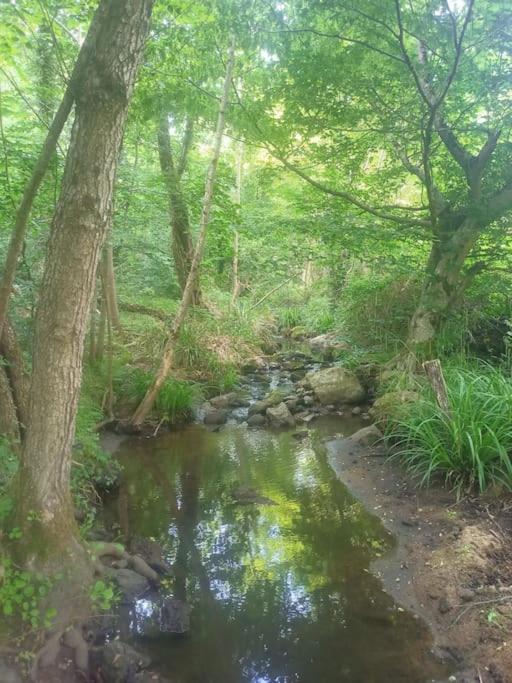 Ecrin De Verdure En Ardeche Verte Colombier-le-Vieux Buitenkant foto