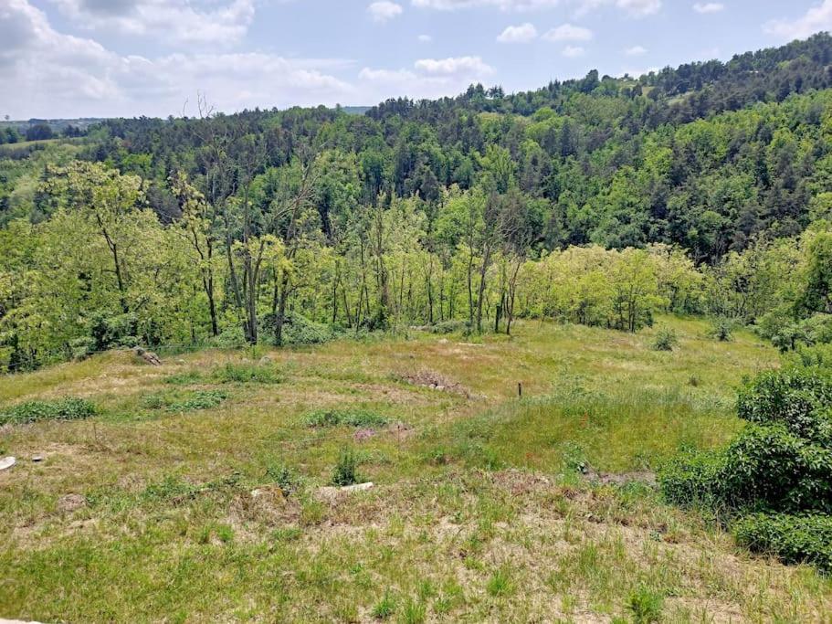 Ecrin De Verdure En Ardeche Verte Colombier-le-Vieux Buitenkant foto