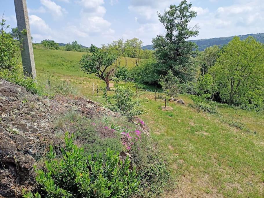 Ecrin De Verdure En Ardeche Verte Colombier-le-Vieux Buitenkant foto
